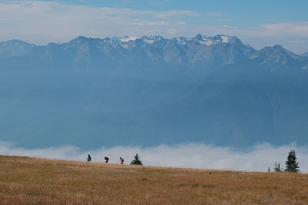 Sentier de randonnée en montagne alpine