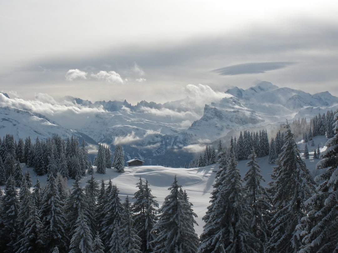 Pistes de ski alpin sous la neige