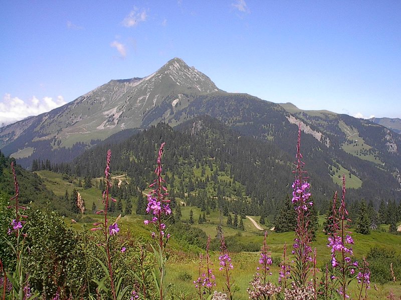 Tour du Mont de Grange