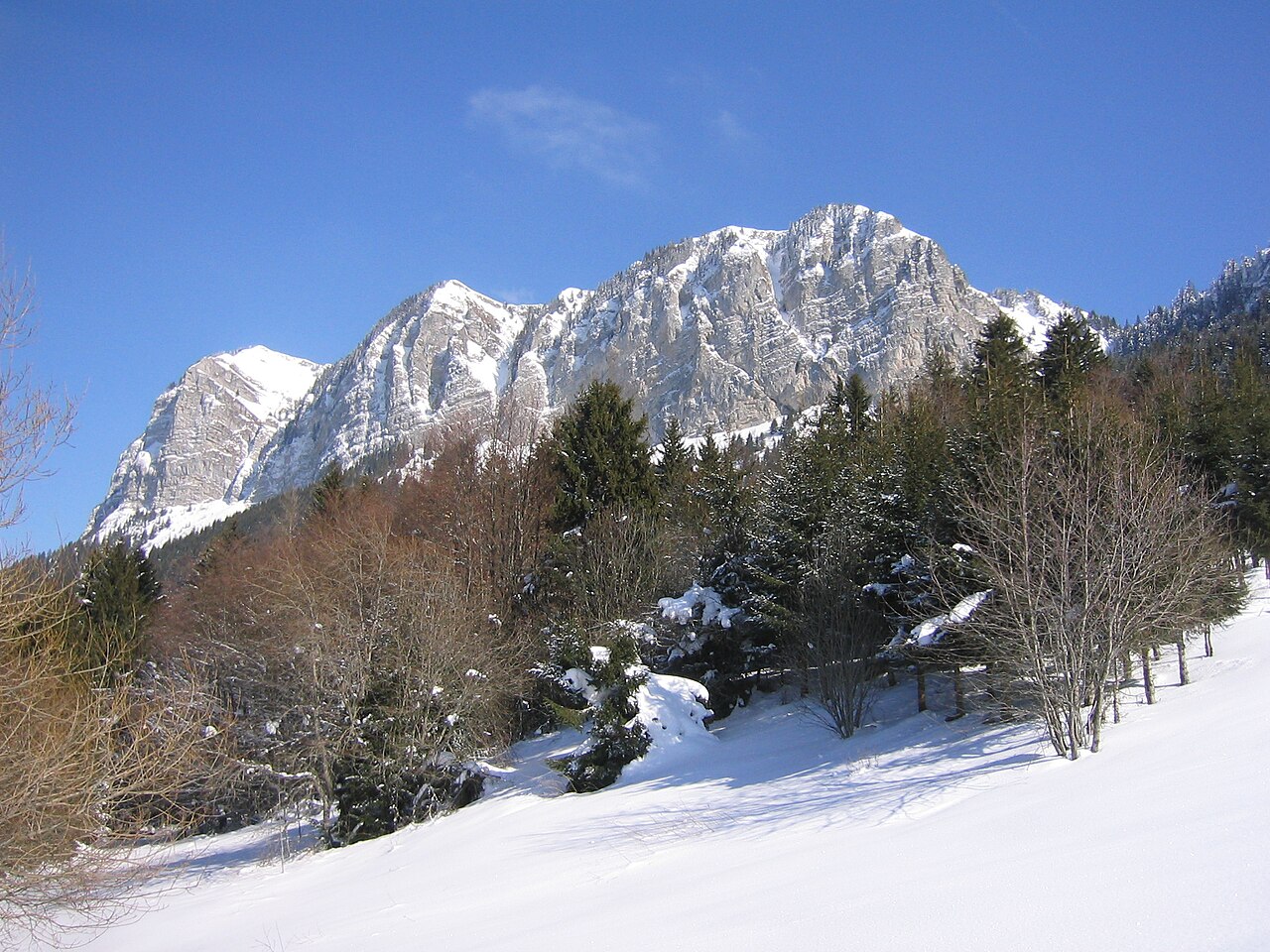 Tour des Mémises depuis Thollon