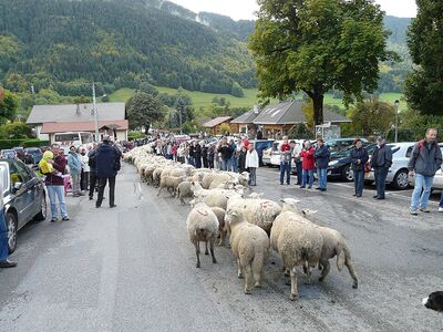 Sentier des Bergers