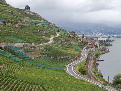 Lavaux — vignobles UNESCO
